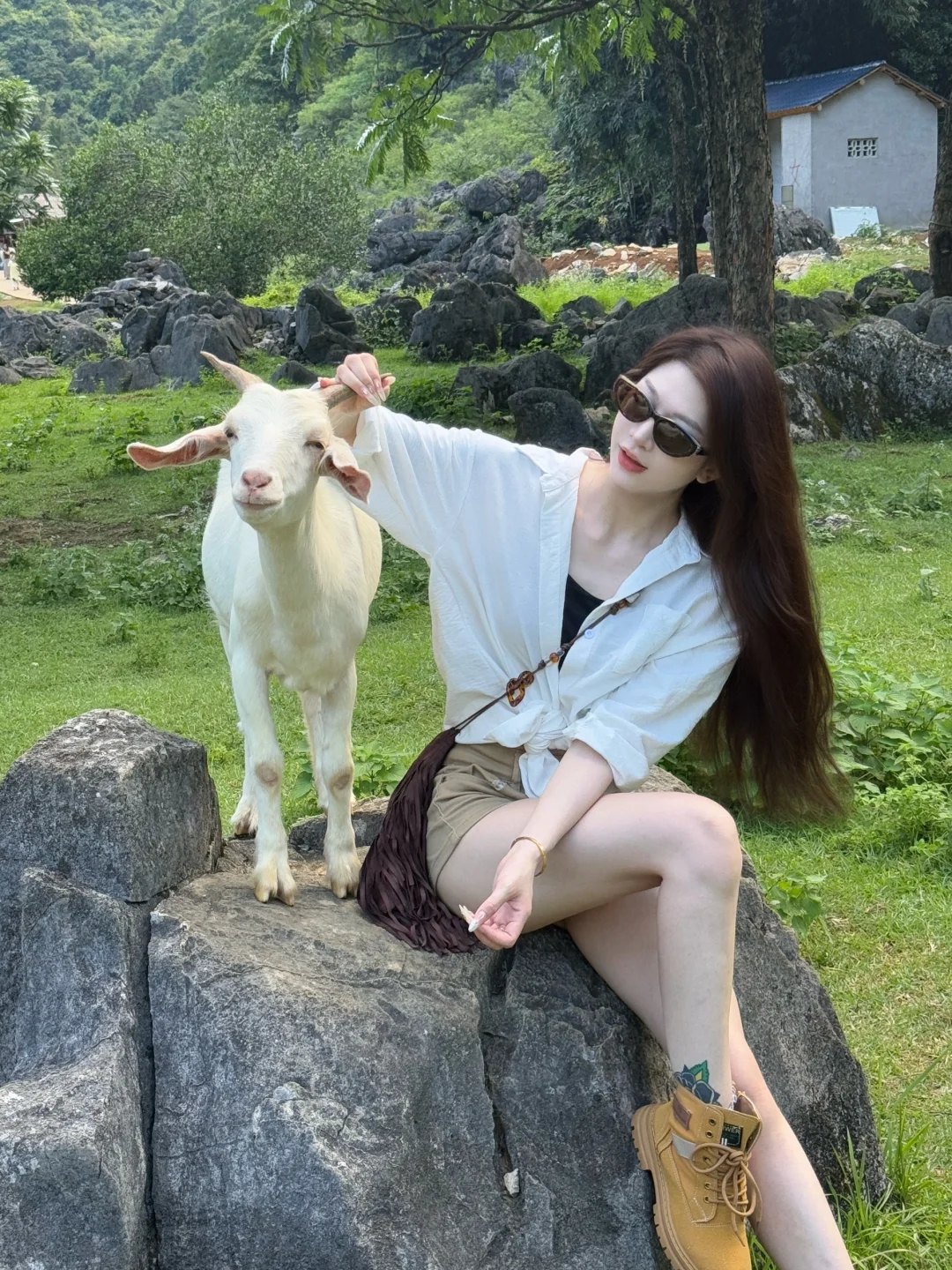 去不了新疆阿勒泰 就来柳州鹿寨🐑