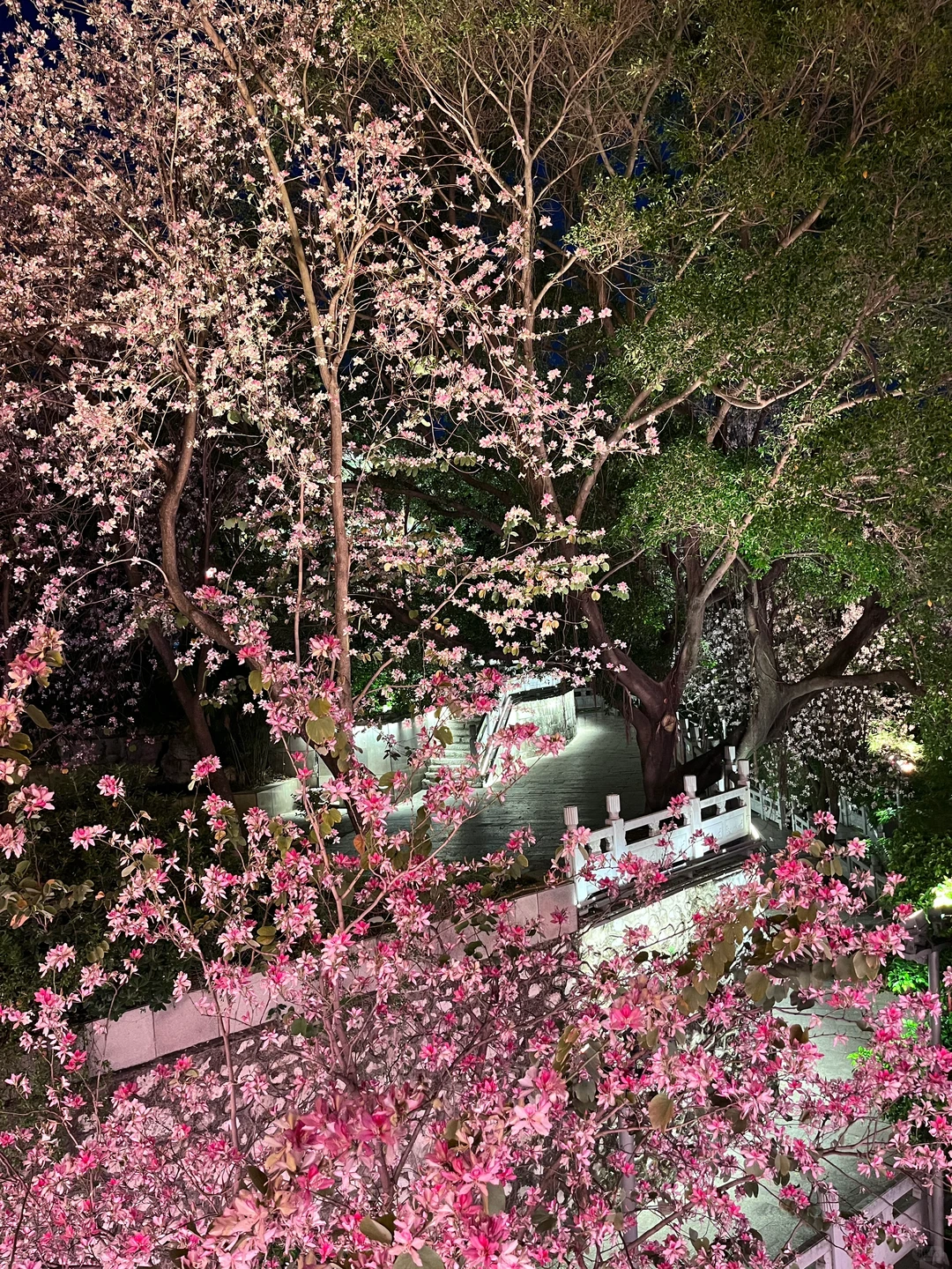 📍柳州～体验了一次流水线古国公主👸