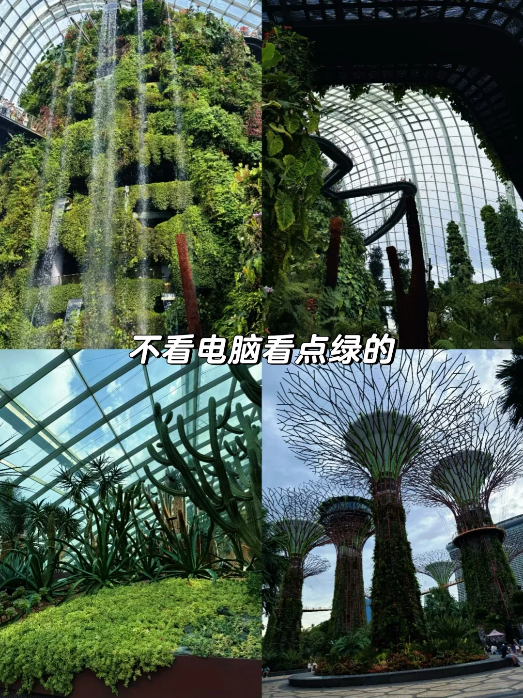 柳州女律师｜十天！整整十天！！