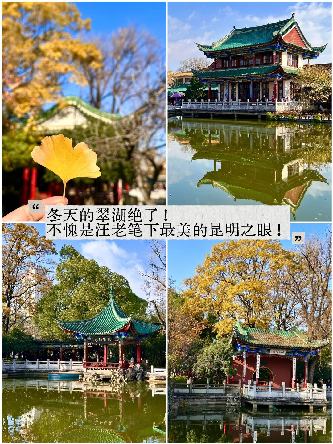 南宁周末逃离计划|昆明观鸥季两日游攻略！