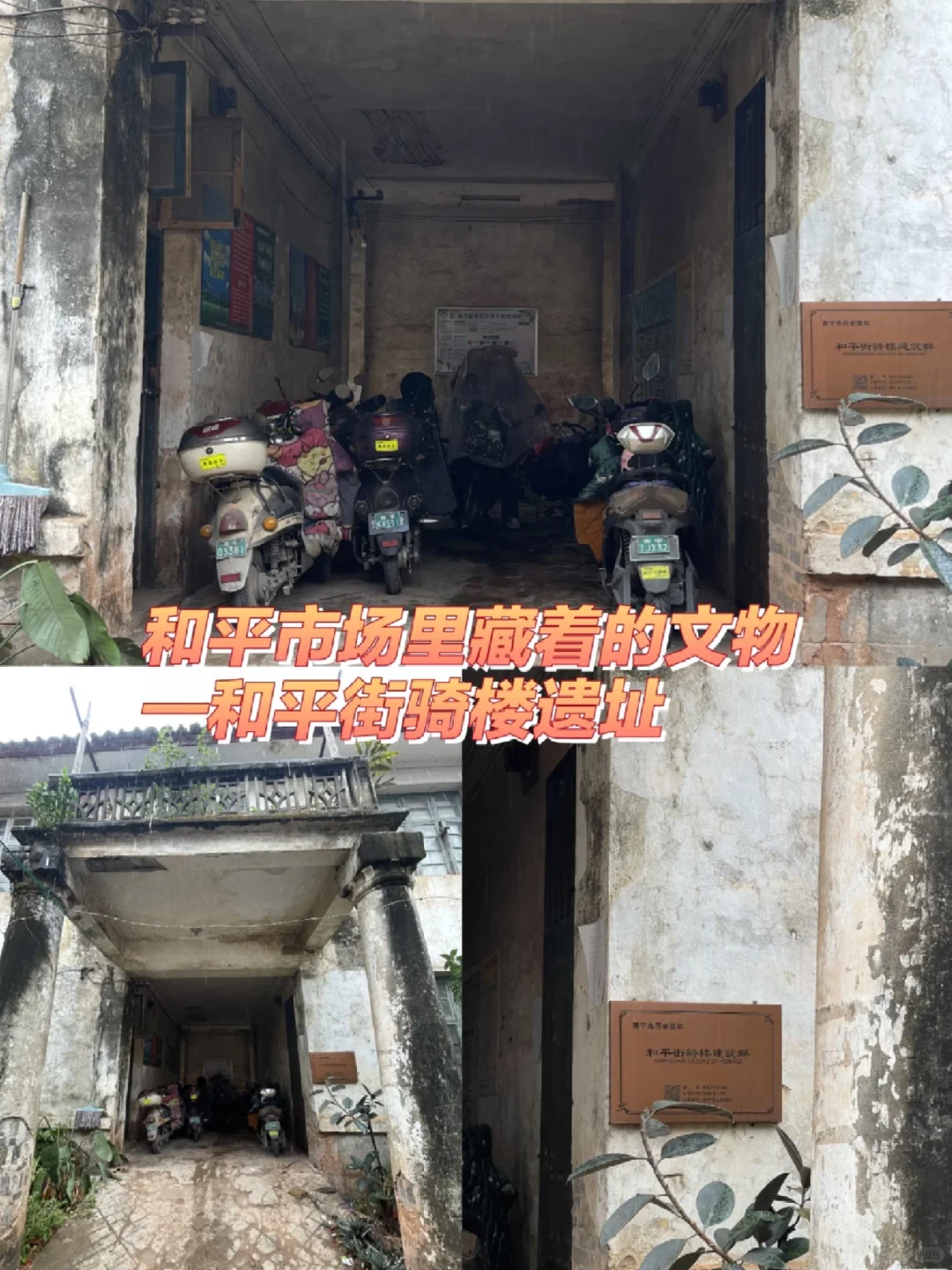 南宁反向旅游指南：📍蒲庙（全攻略）