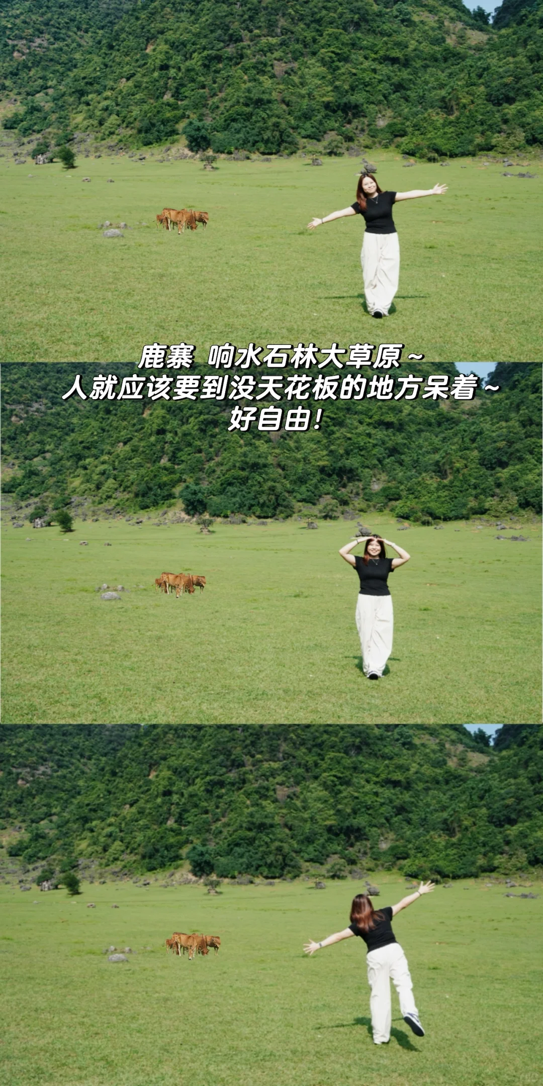 去除班味计划 ｜ 广西·柳州三天两晚攻略⛰️