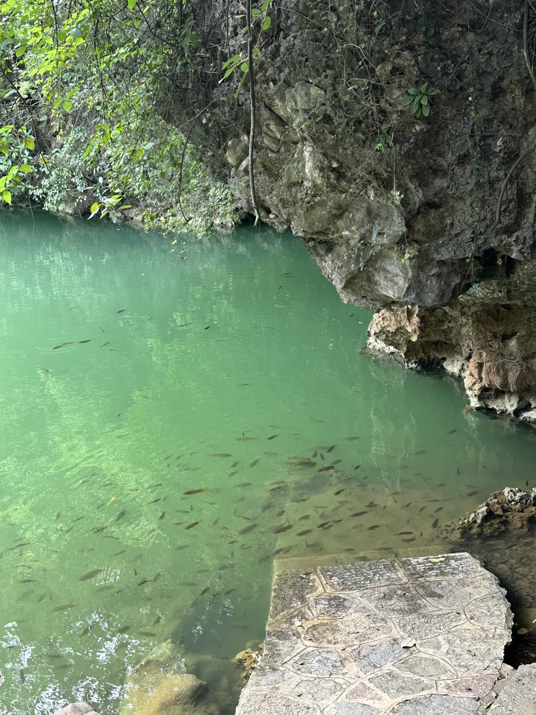 你好 螺蛳粉王国•ᴗ•🥄‧₊˚