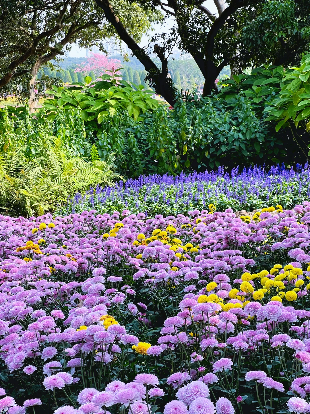 青秀山造景是谁？