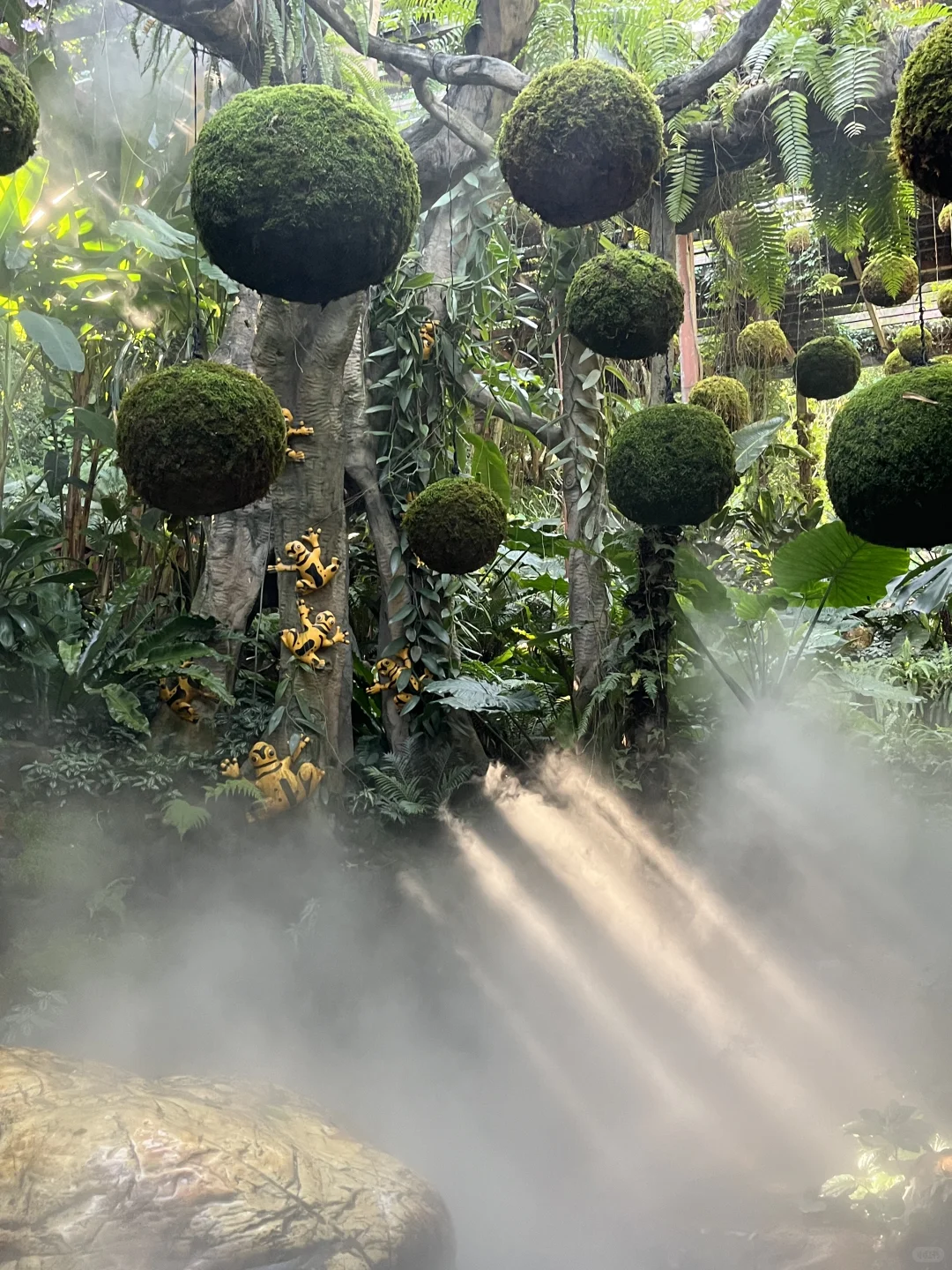 青秀山超全懒人攻略！不费腿不费脑！