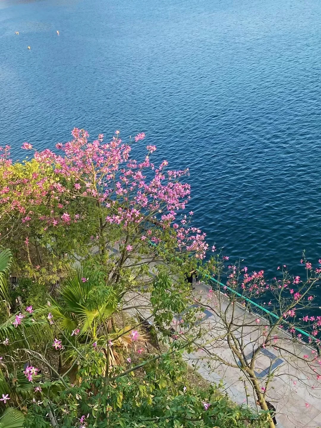 写给五月份想去柳州的姐妹👭超全避💣