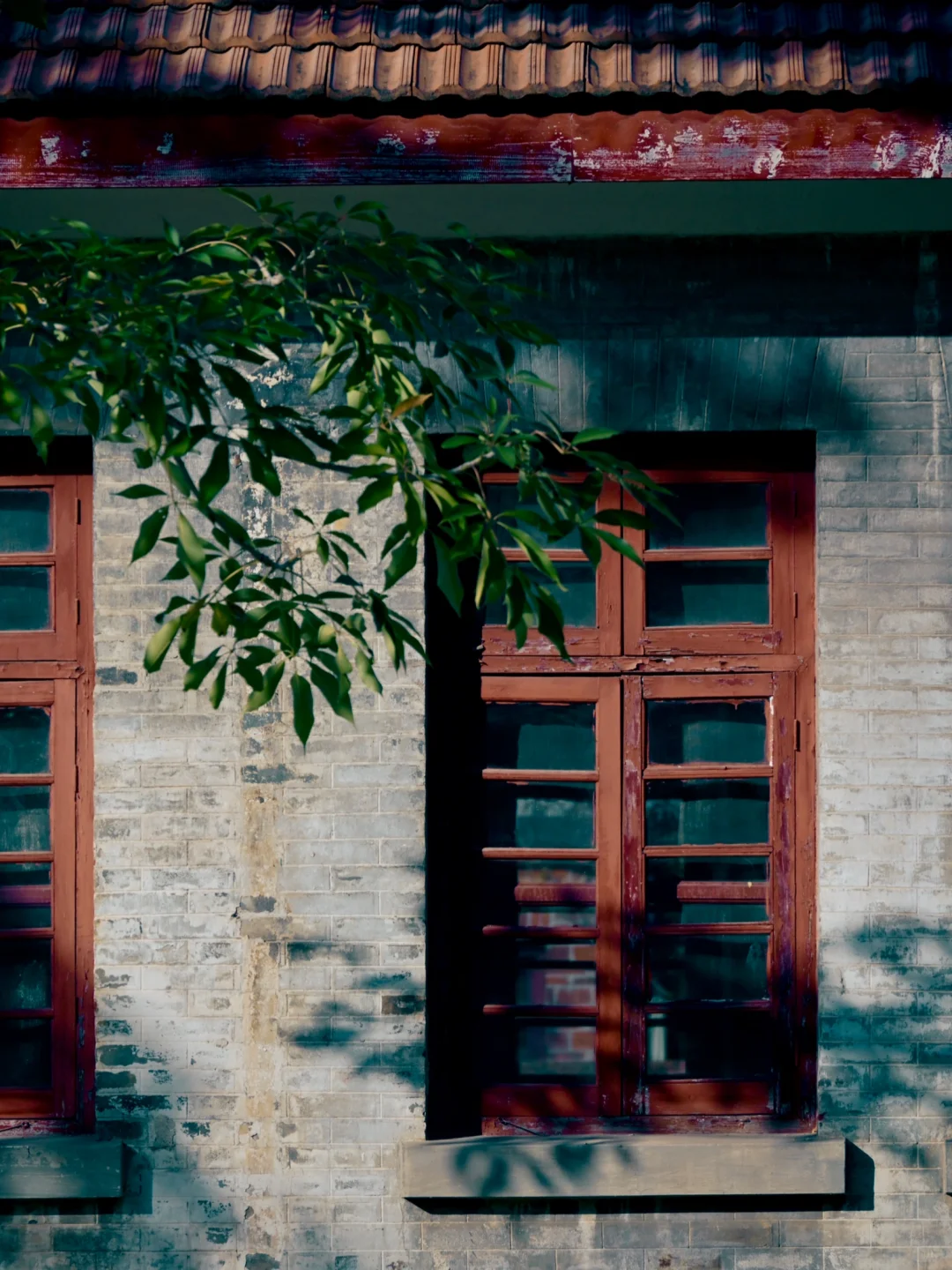 柳州·军事博物园｜历史正在此处日光浴