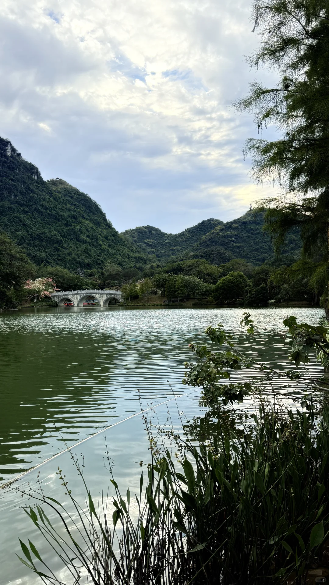 广西4天3晚旅游攻略（柳州篇）DAY3