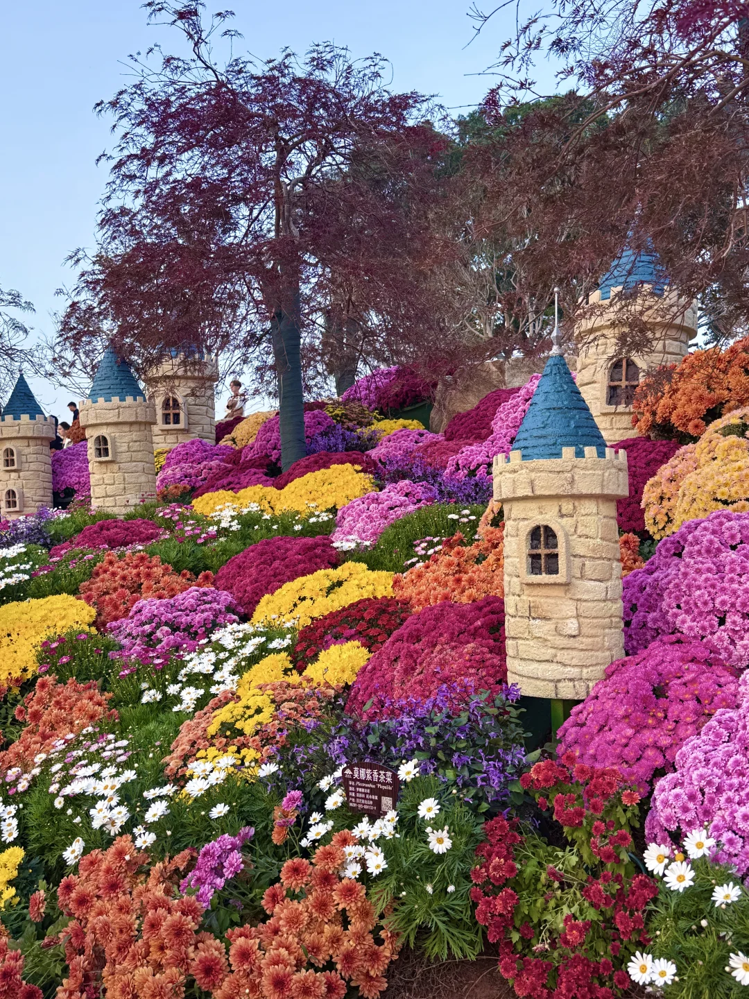 这就是南宁的十二月