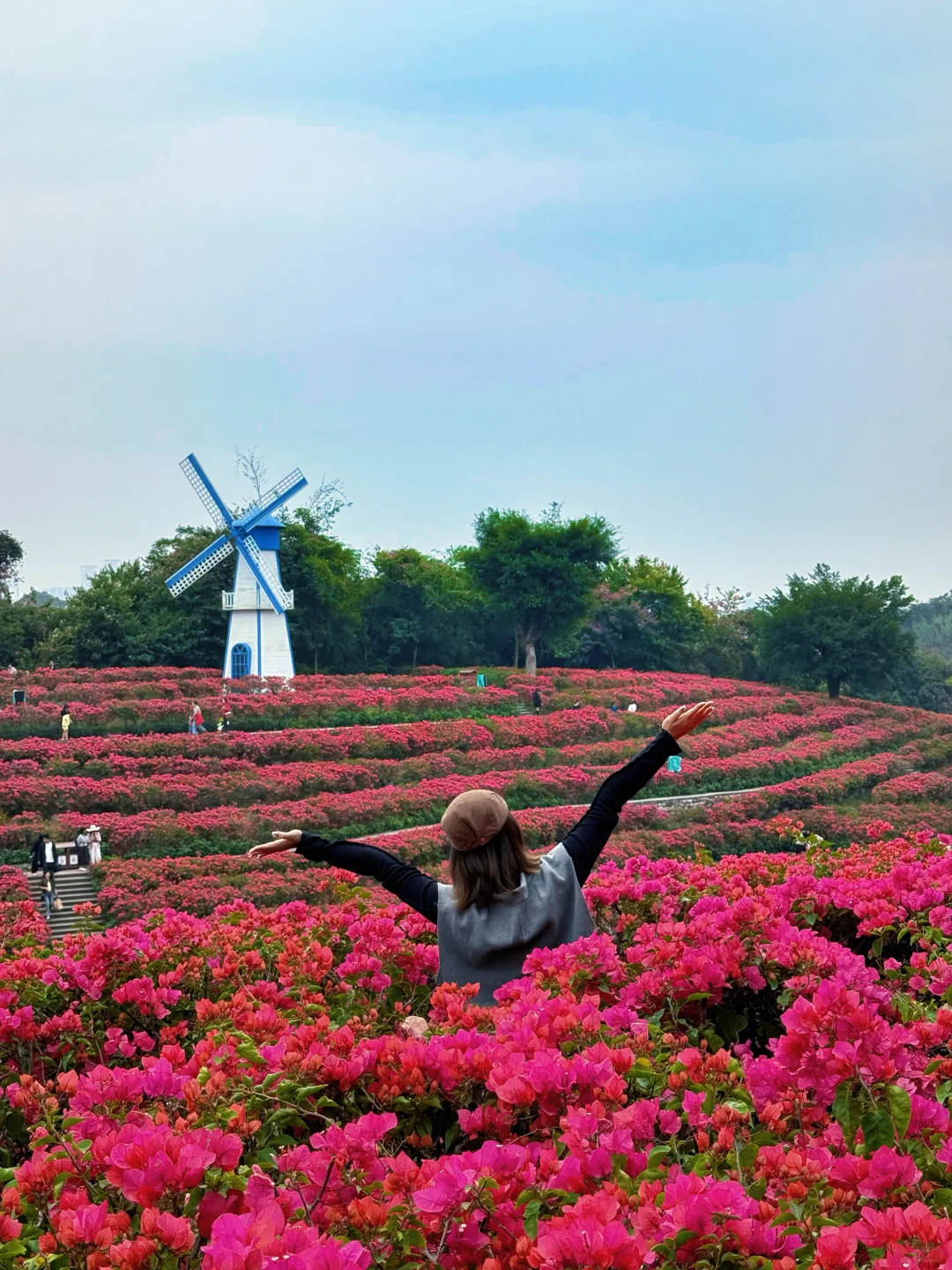 12.5实况！！！不愧是南宁冬日顶流花展