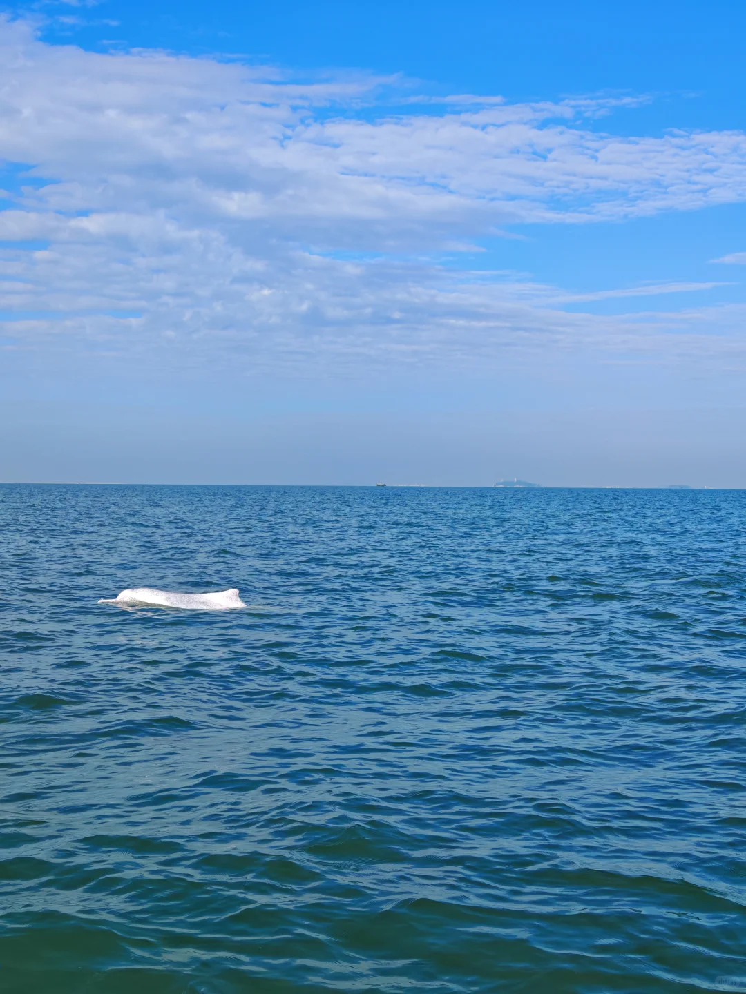 广西秘境之旅:崇左、钦州、防城港