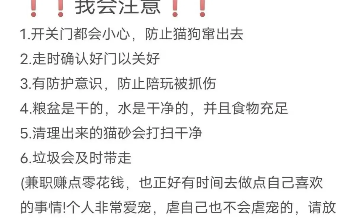 防城港喂猫遛狗