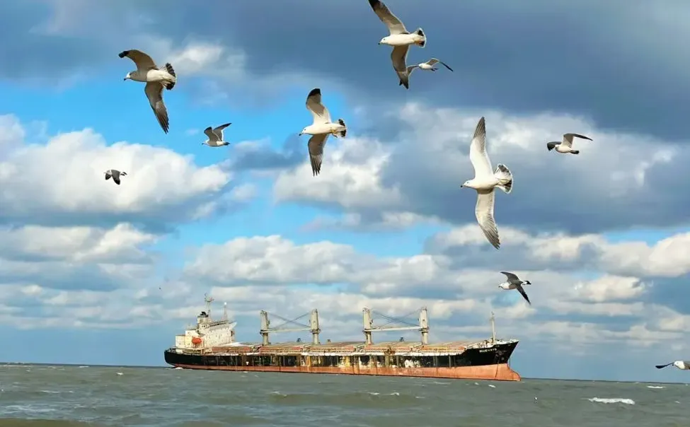 实话难听！但这就是威海旅游真实现状