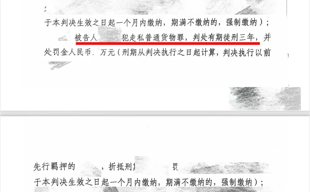 偷逃税款超400万｜从犯判三年