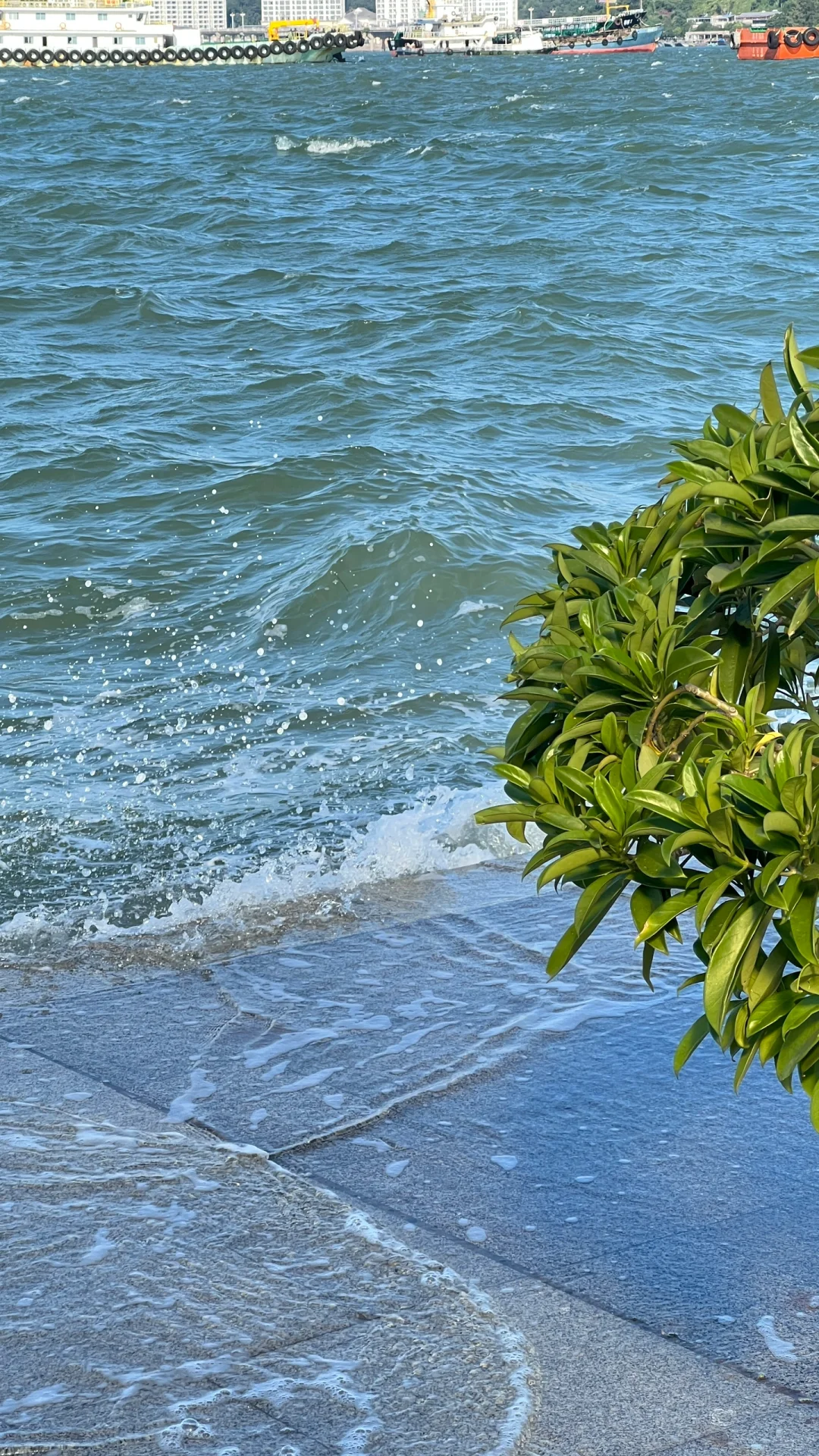 防城港｜冬天海边🌊🌊🌊~