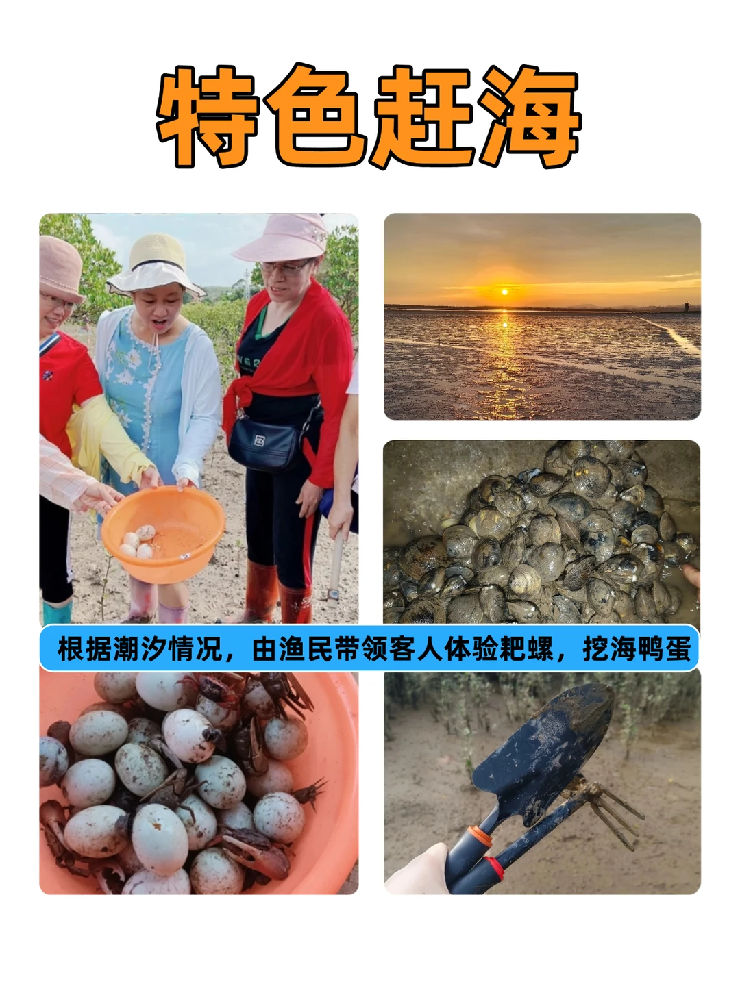 防城港过冬！长辈来了都不想走丨同行可合作