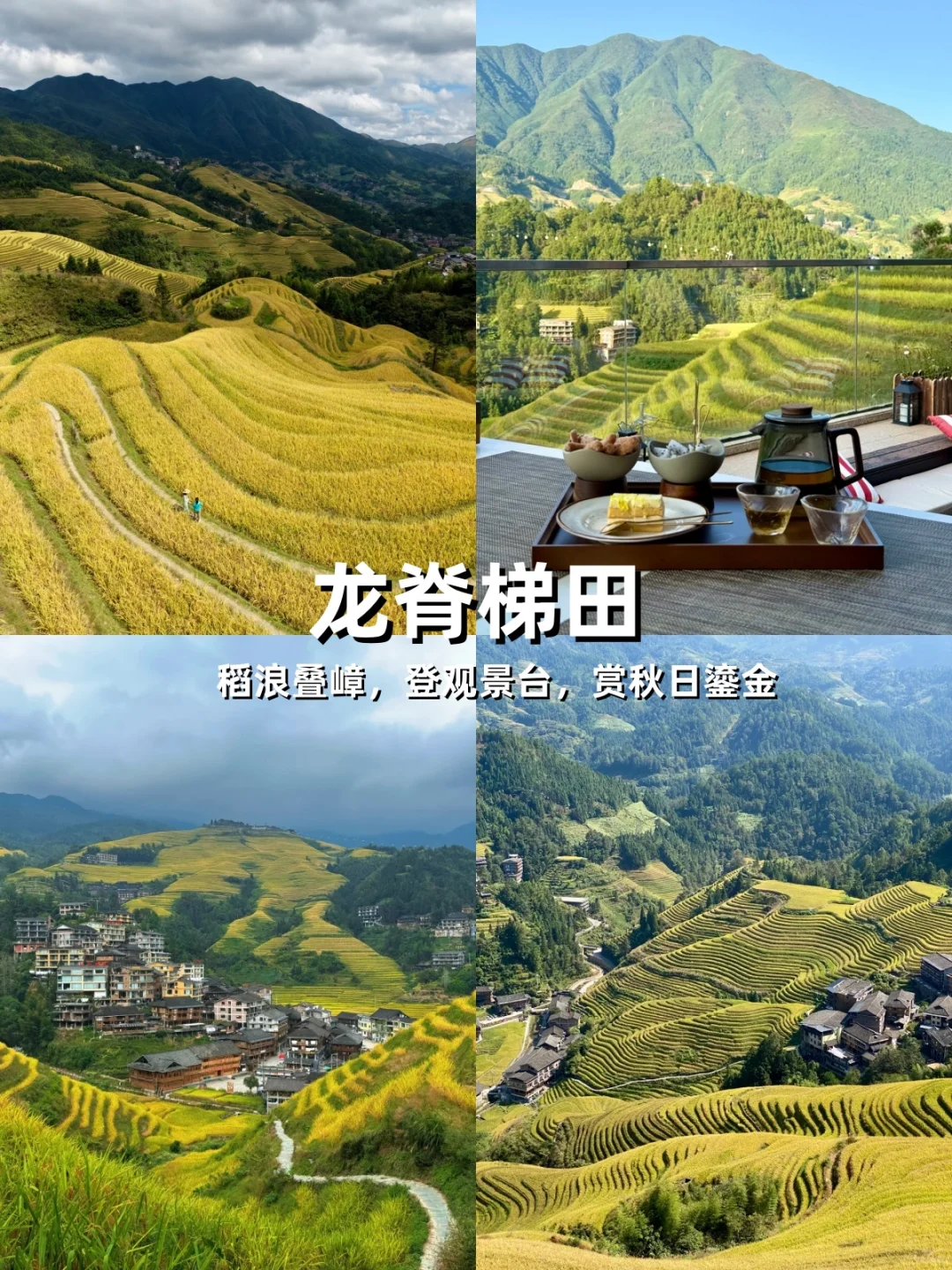 10-12月桂北桂南：人少景美速藏！