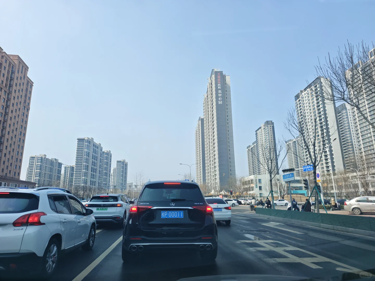 防城港大飞没见到