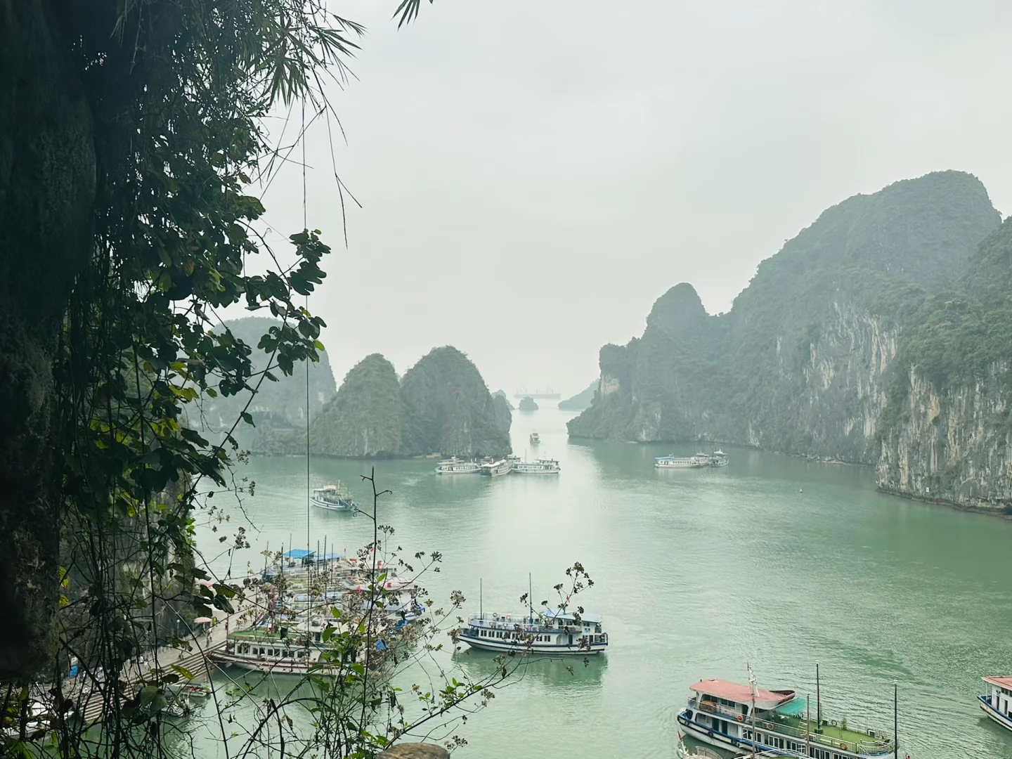 越南之行 避雷‼️