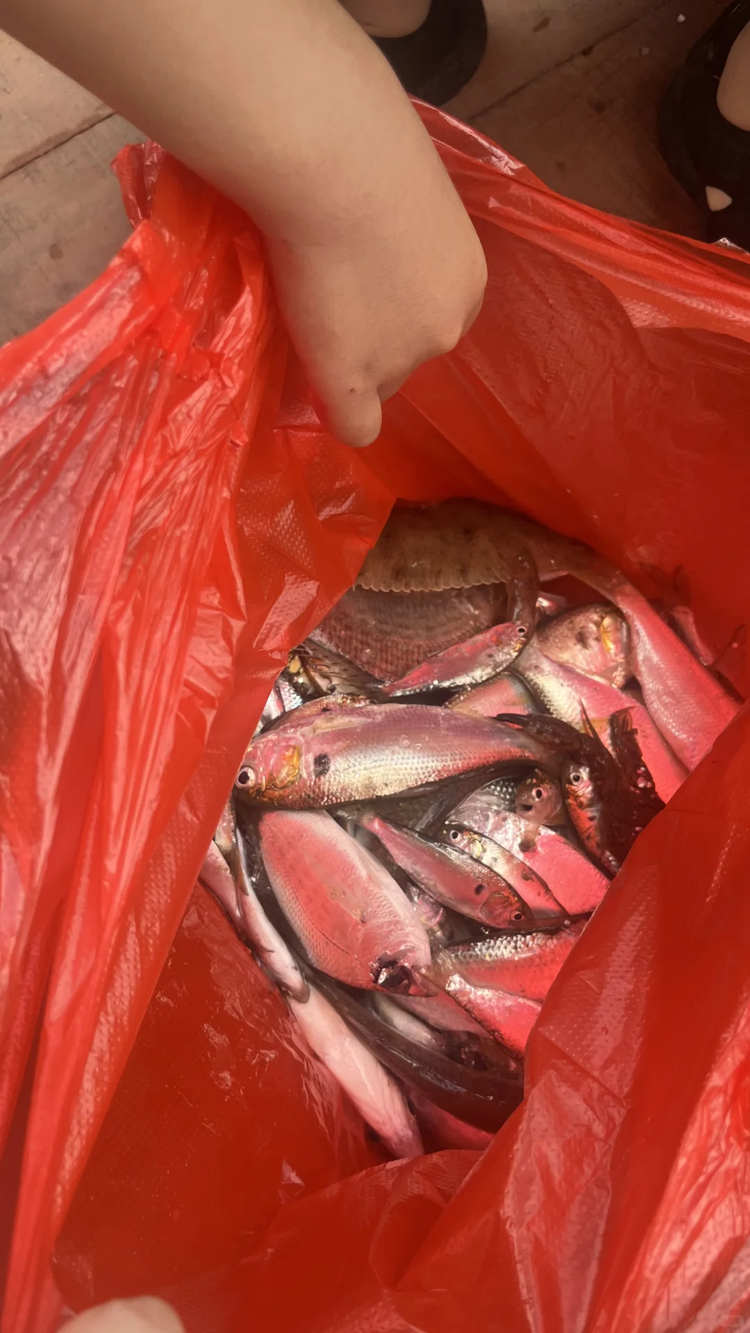 防城港住宿、出海🚢