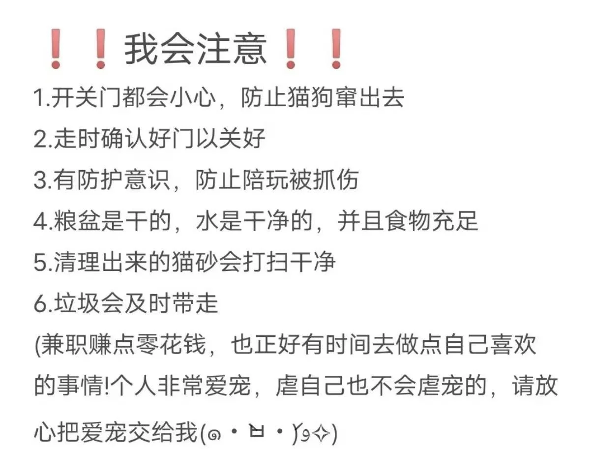 防城港喂猫遛狗