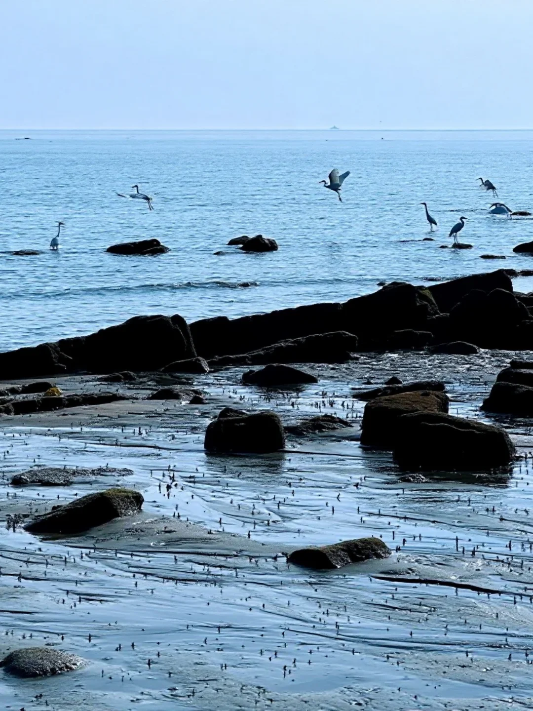 防城港2天1夜轻游攻略🌊