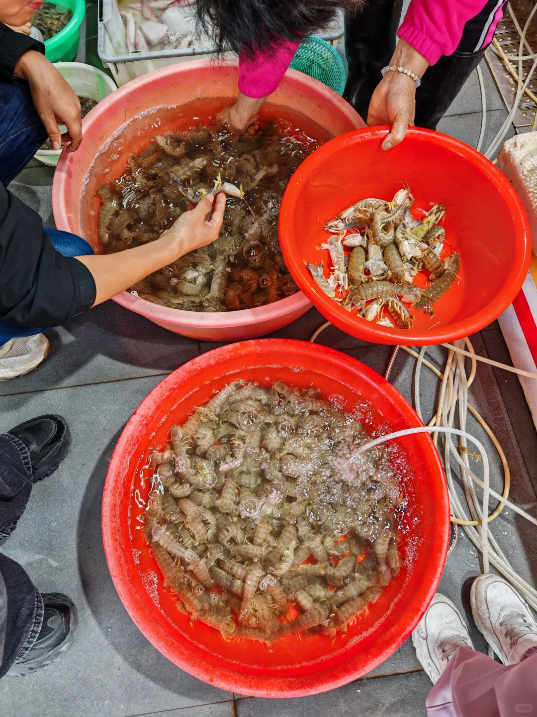 广西秘境之旅:崇左、钦州、防城港