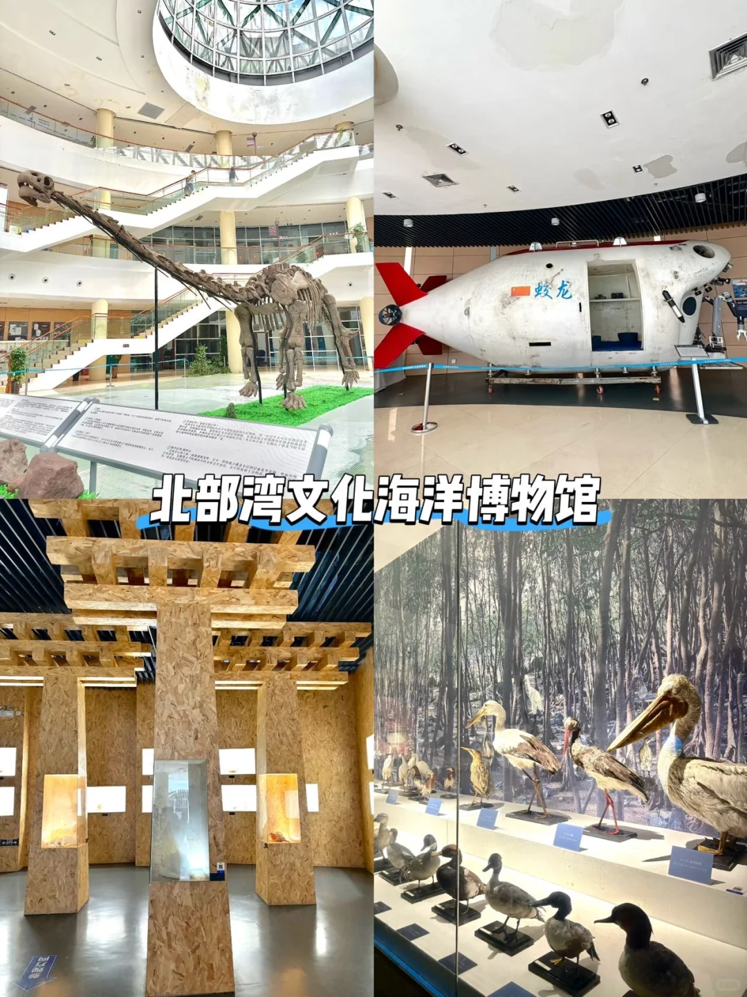 国庆防城港一日游攻略❗️保姆级不走回头路❗️