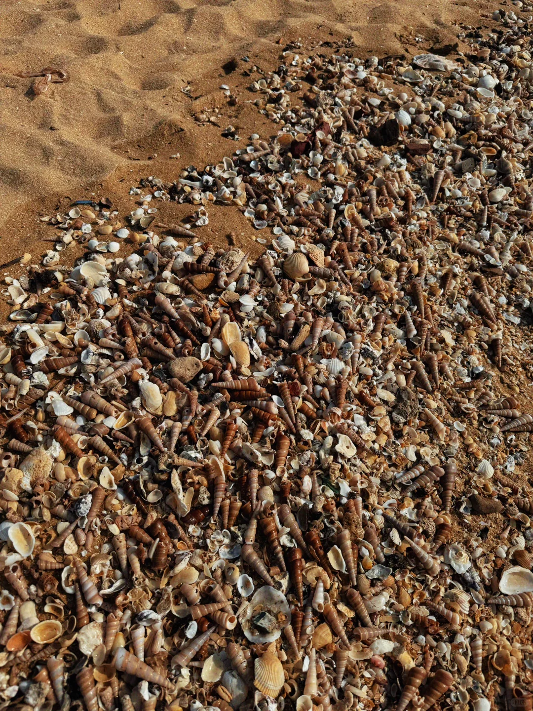 📍防城港·白沙湾｜拍照看这篇‼️