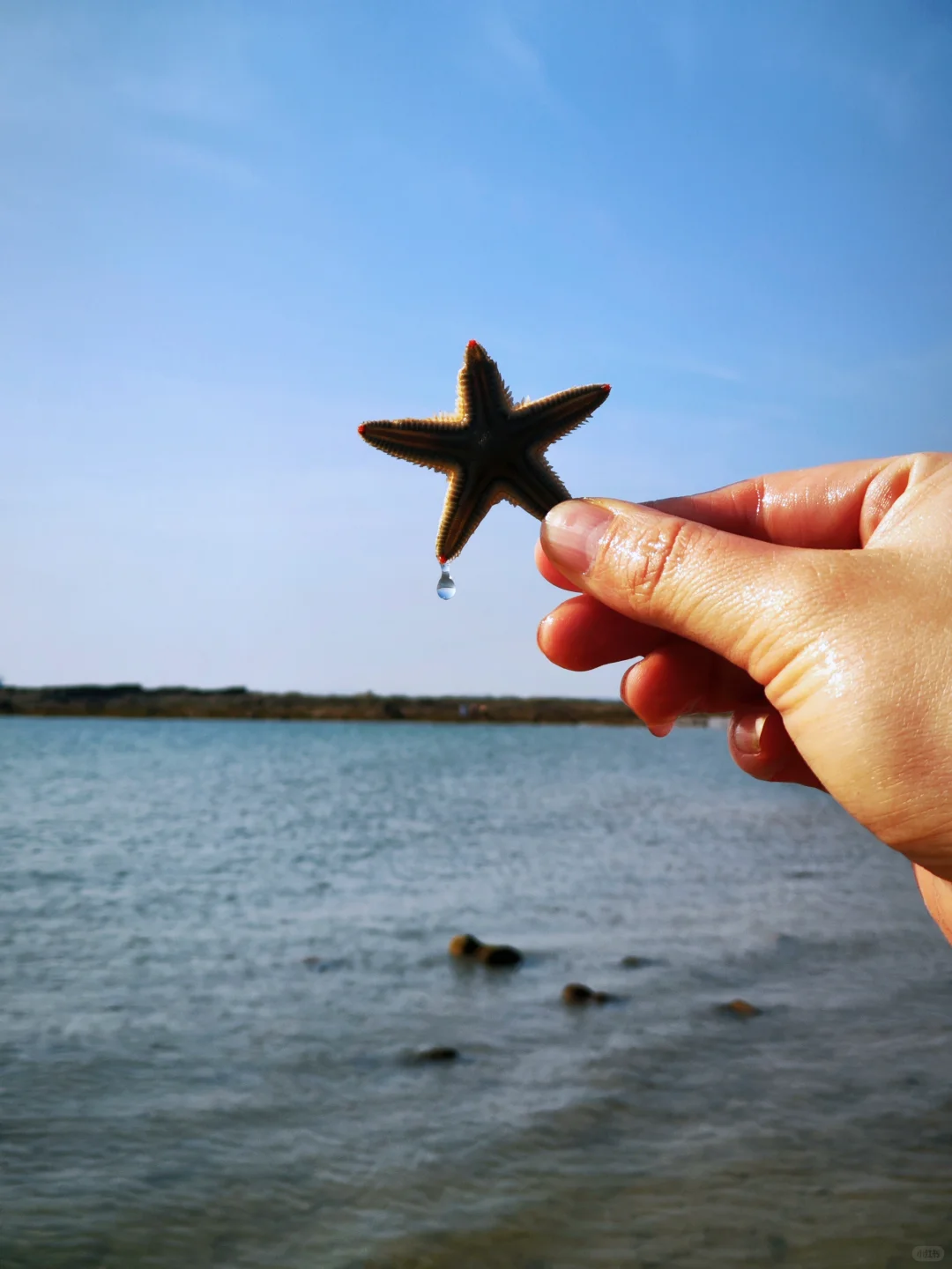 防城港2天1夜轻游攻略🌊