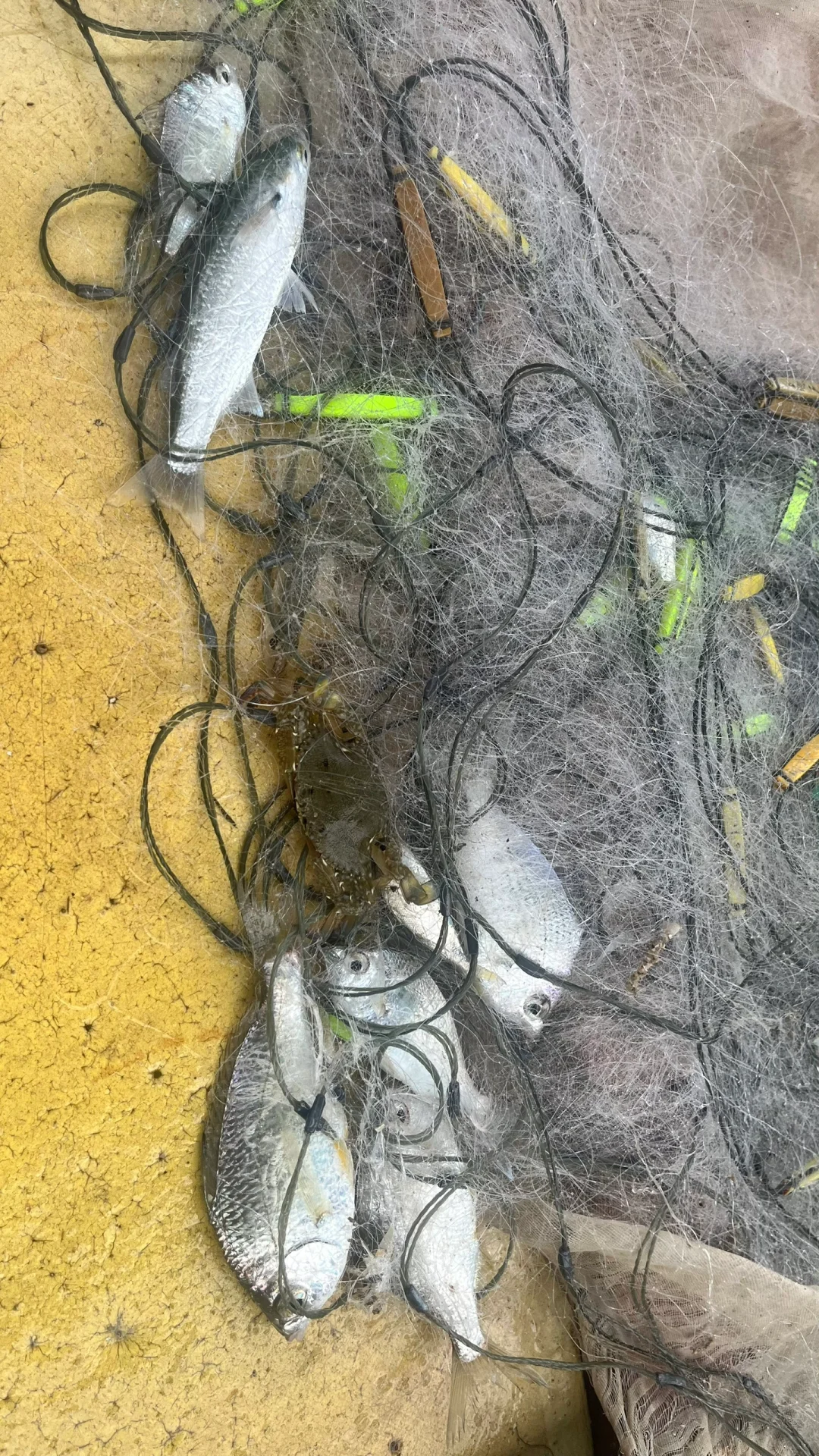 防城港住宿、出海🚢