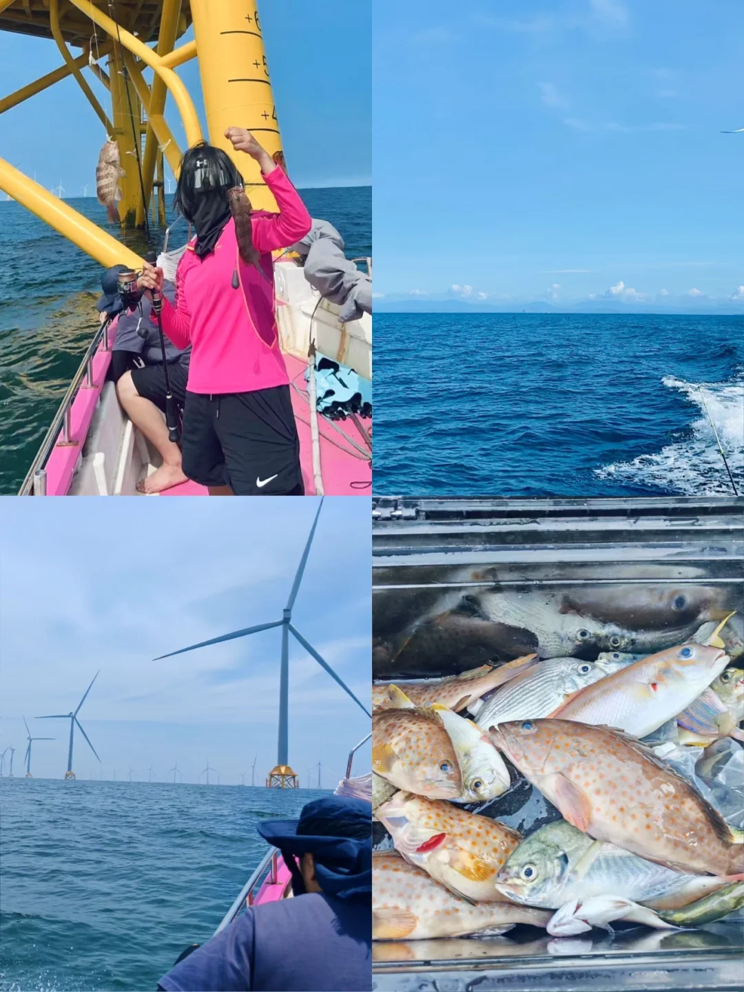 防城港！海钓8小时！300+😭