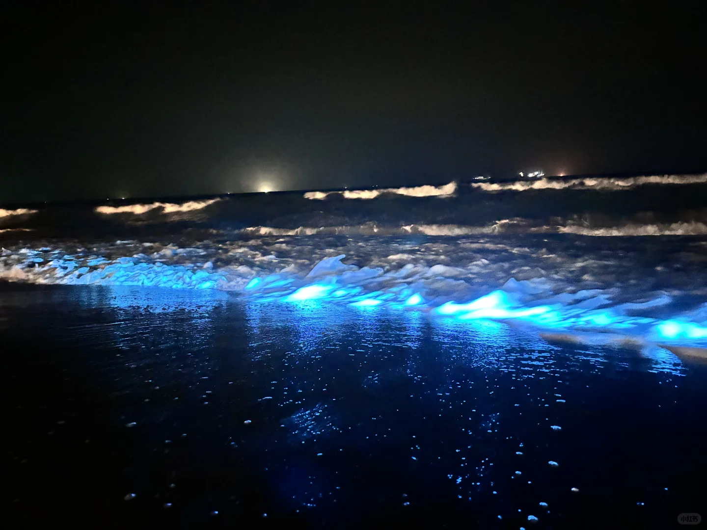 今晚！我愿称之为“天才的聚会”