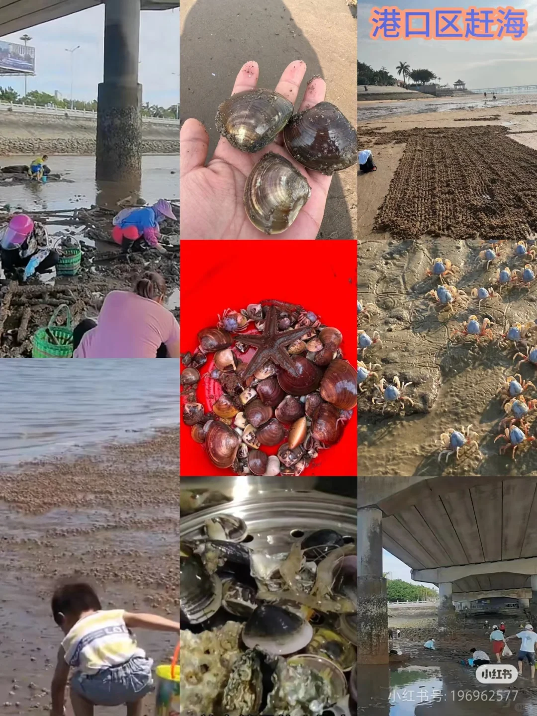 防城港港口区吃住玩旅游攻略（防城港市区）