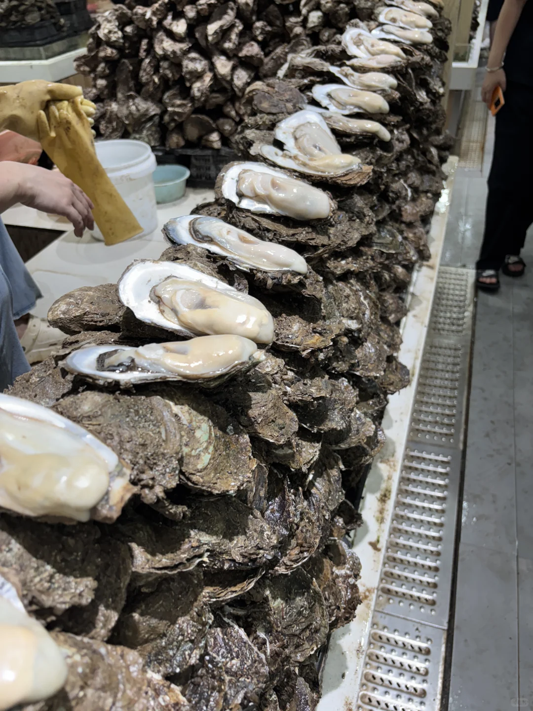 防城港企沙海鲜市场——特别推荐