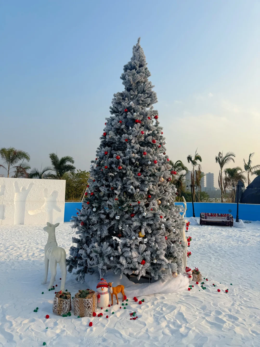 听说，这里也要下❄️了～～