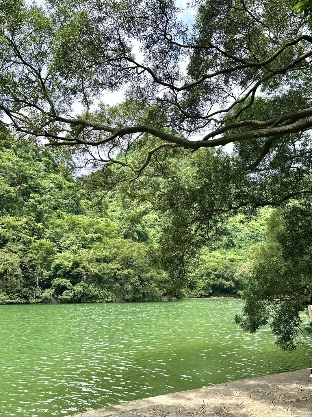 👒龍潭公園 值此青绿⸝⸝꙳🌿𝗽𝗹𝗼𝗴 ටᆼ