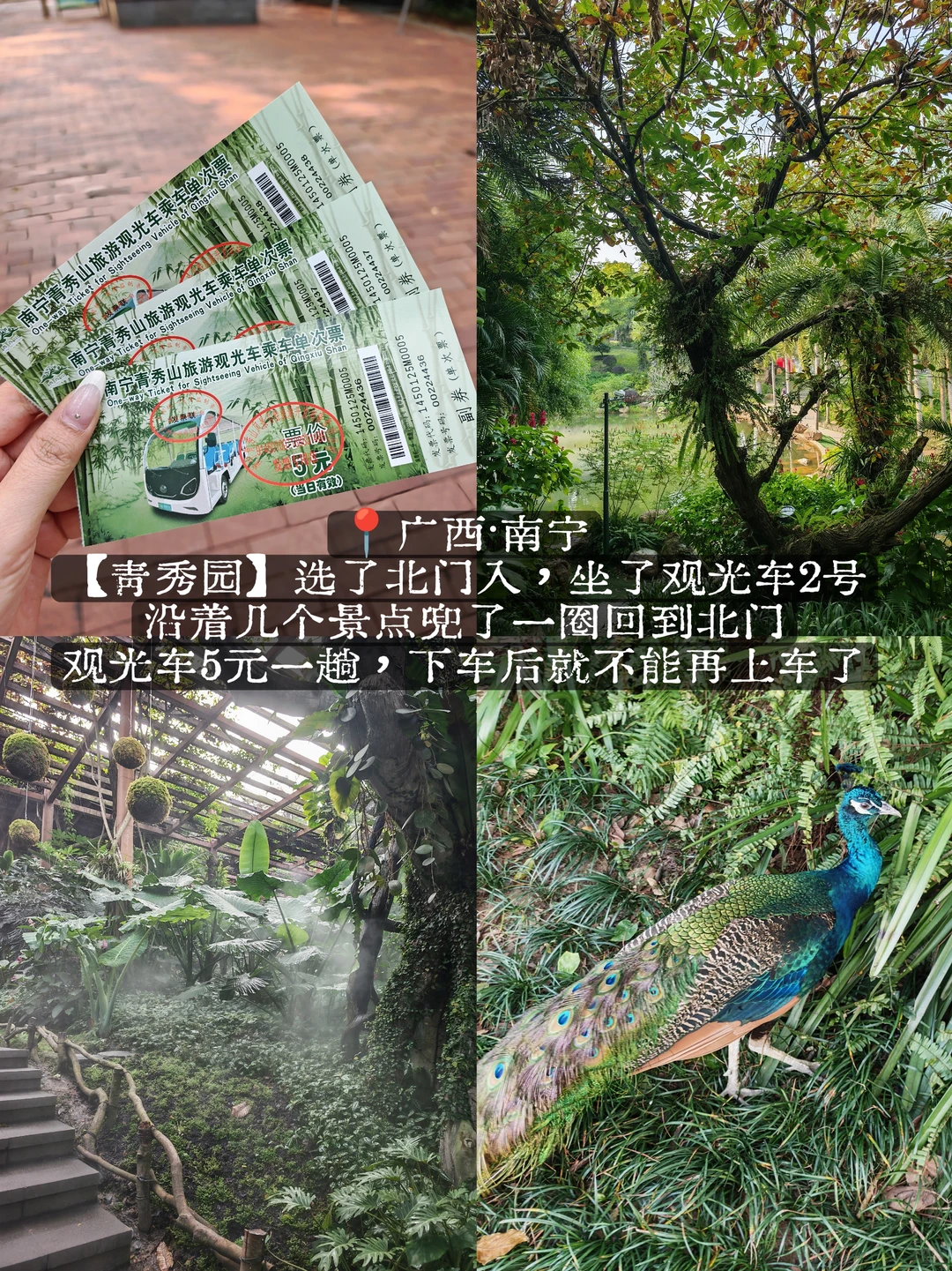 南宁懒人2日游,摆烂式旅游