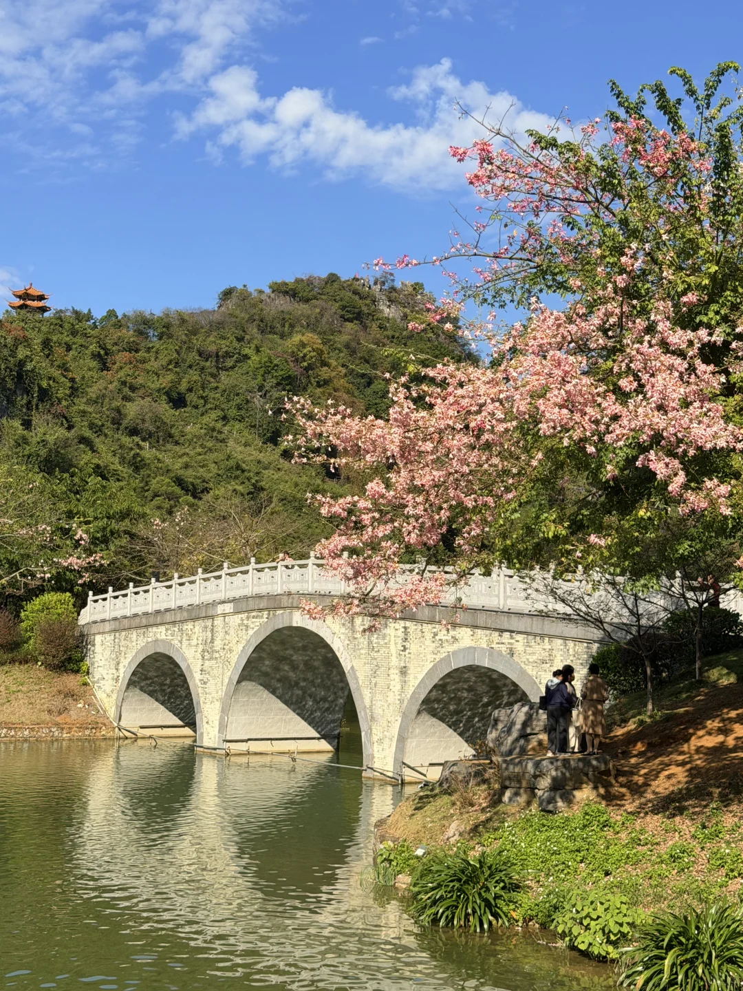 11月淡季游柳州