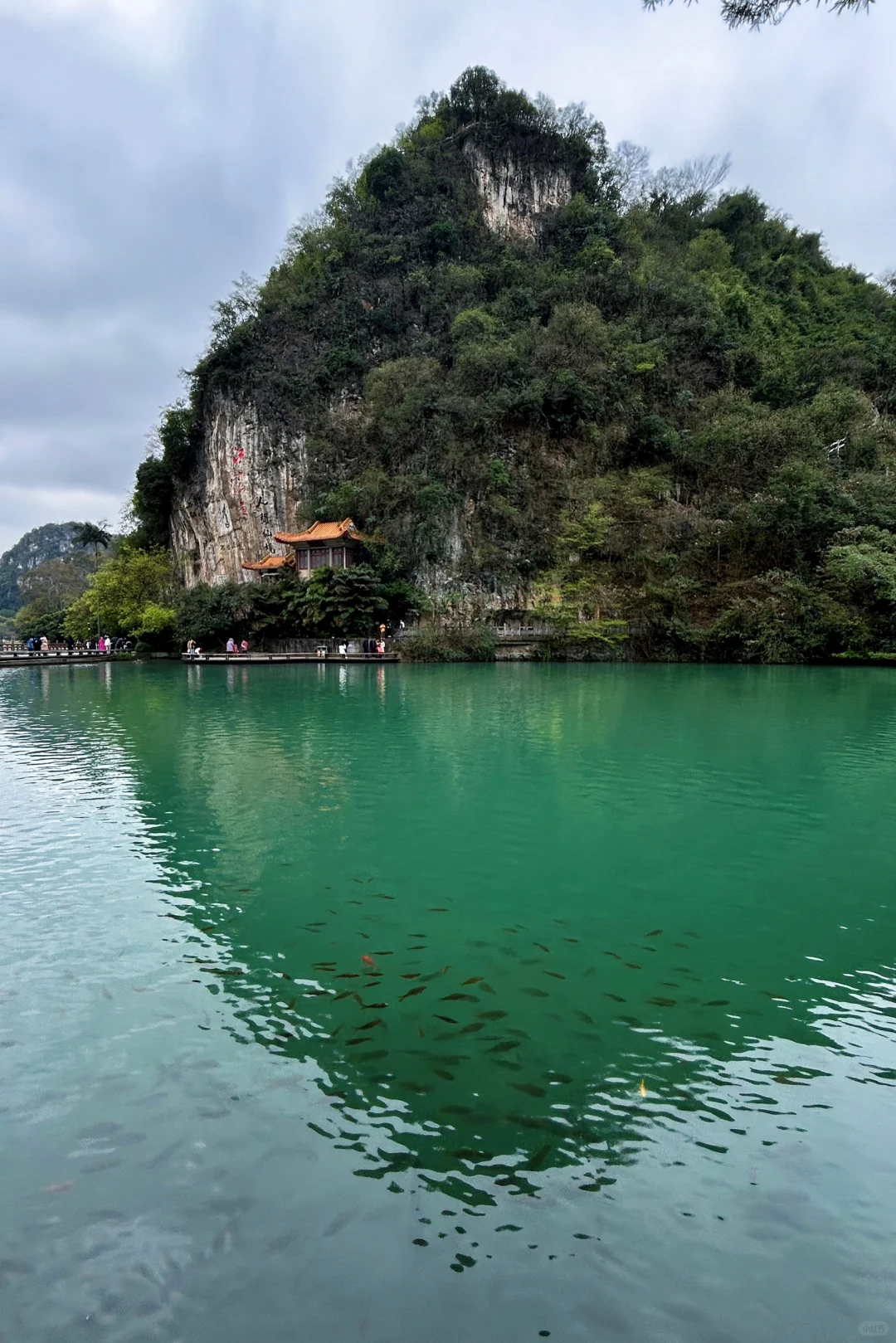 广州出发｜广西柳州两天一夜游玩记🍜