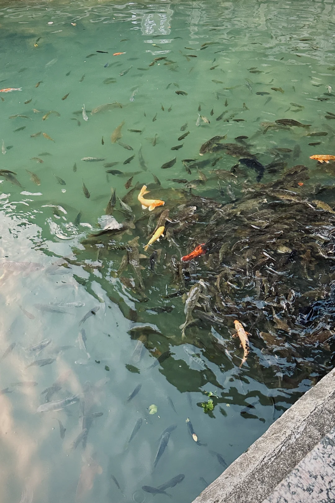 柳州一日游 🍜