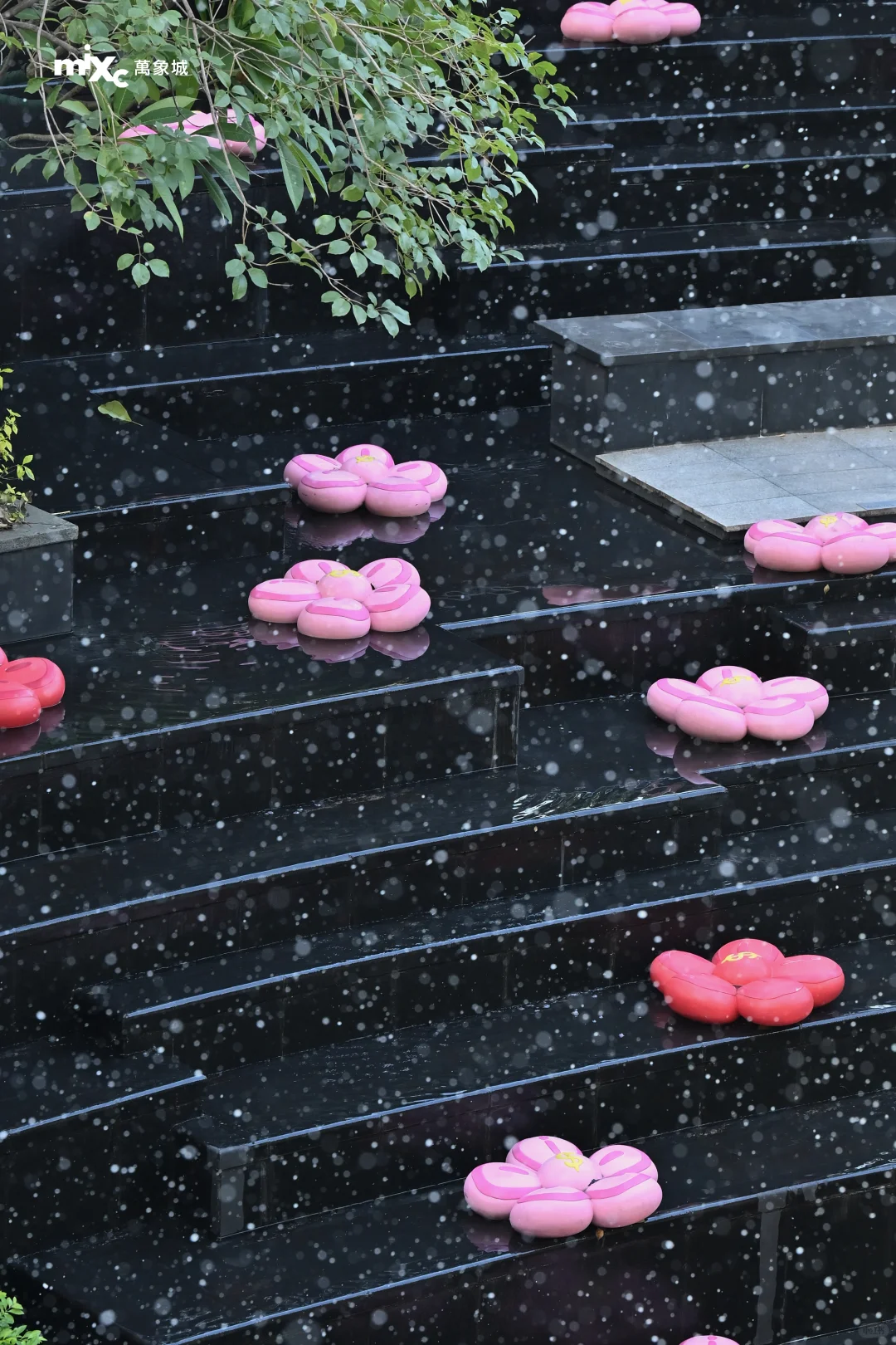 「大雪」至，柳州局部大雪！