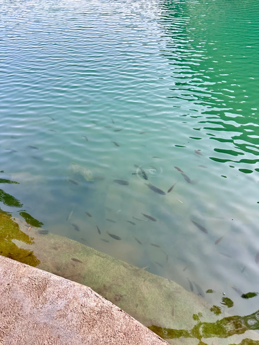 柳州📍这里不就是柳州版的九寨沟吗？！