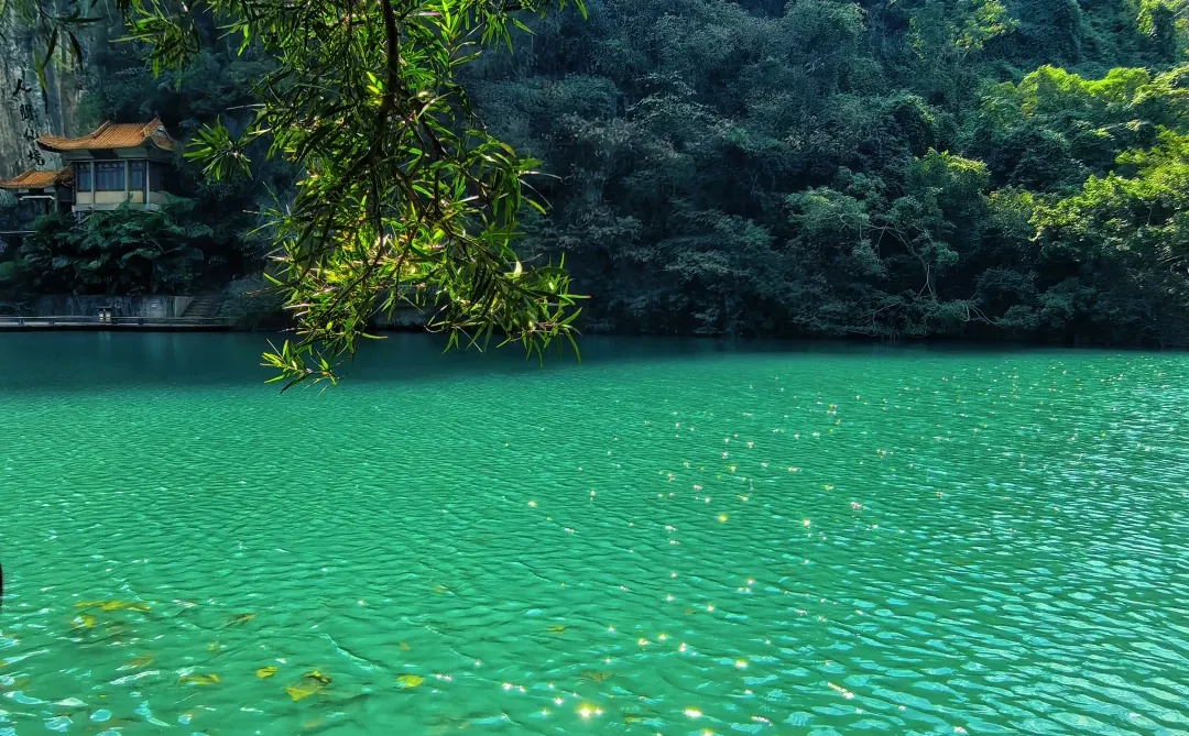 惊叹于龙潭公园的果冻水