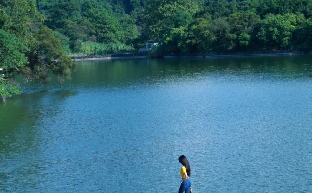 🌳广西柳州龍潭公园 5元一张的照片