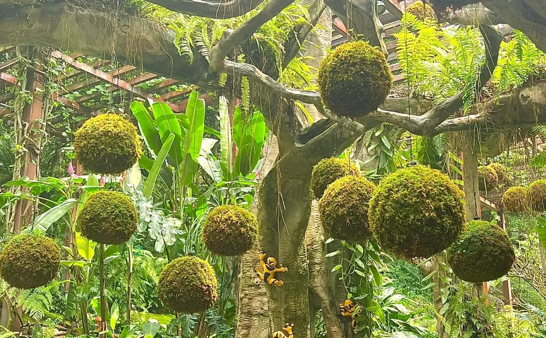 南宁 ✚ 柳州｜❸天❷晚精准打卡点攻略