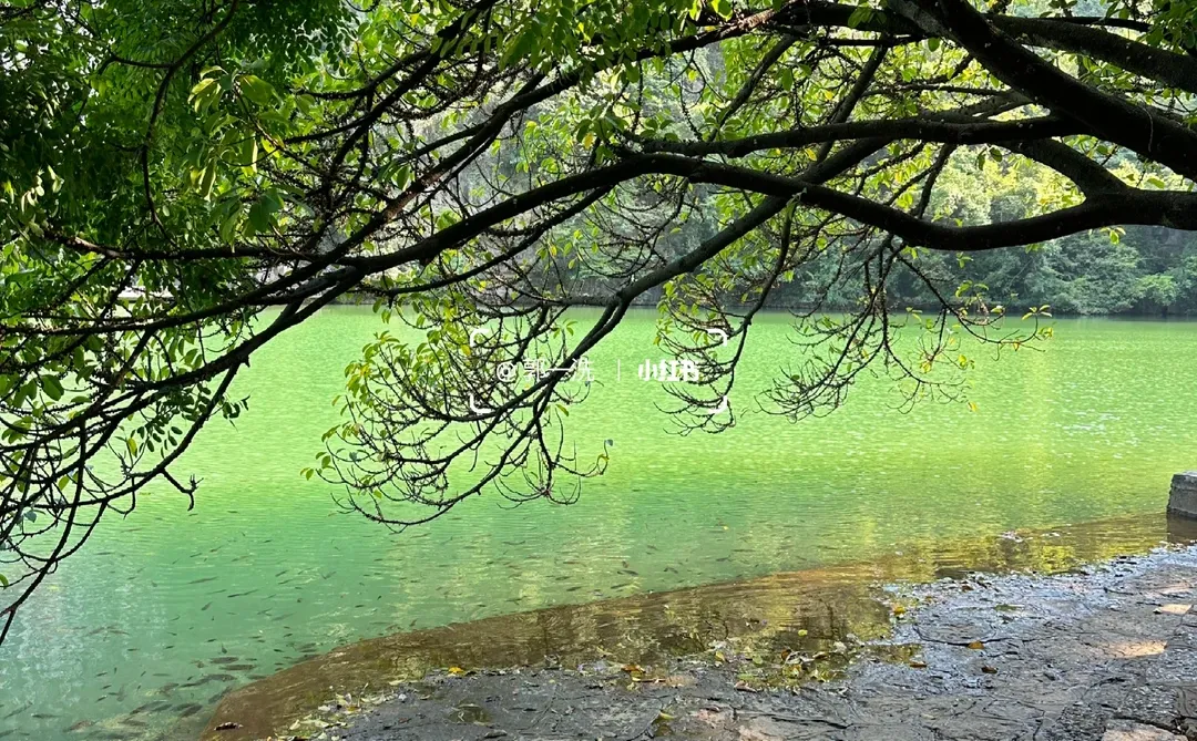 为了这个山景🌄特意来了一趟柳州！！（live版）