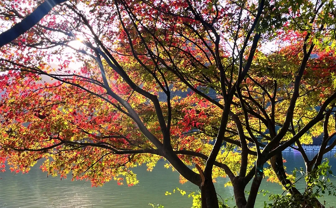 柳州龙潭太美啦啊啊啊啊啊