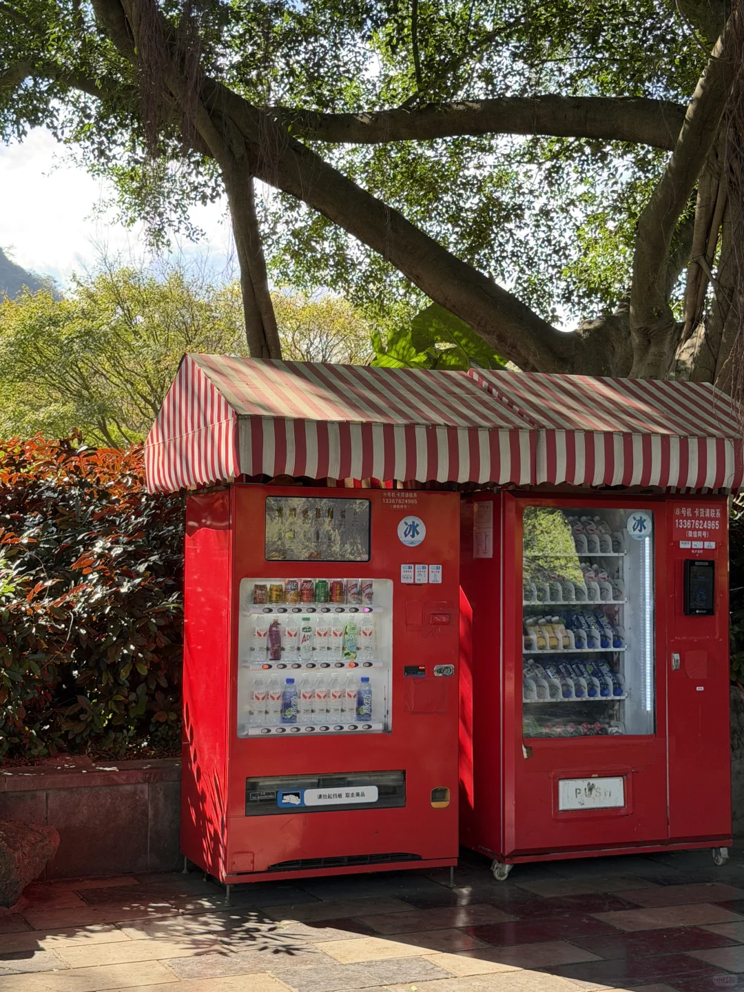 11月淡季游柳州