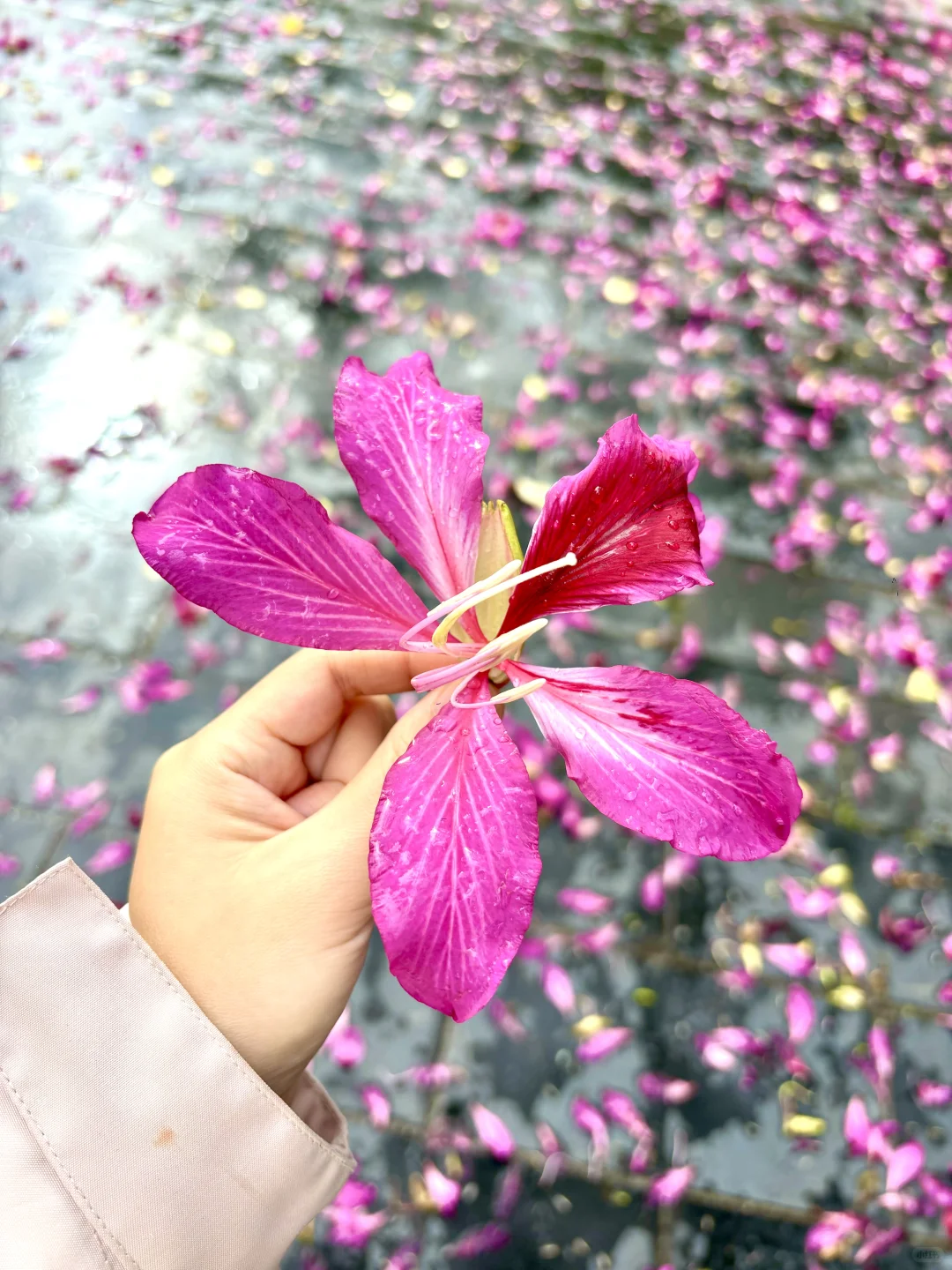 长沙周边城市打卡：柳州周末两日游